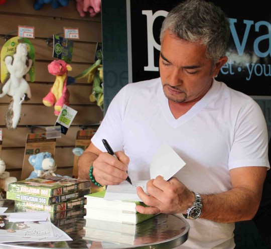 Cesar Millan signing his book " How to Raise the Perfect Dog." 