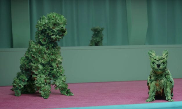Mail Chimp’s short film of dogs made out of kale.