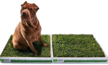 Poopertunity knocks – Real grass potty patches for dogs.