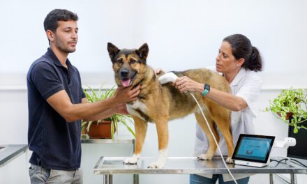 HTVet Introduces Non-invasive Scan Tool for Early Cancer Detections in Dogs.