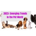 2023:Emerging Trends in the Pet World–the Human Wellness/Pet-Food Crossover