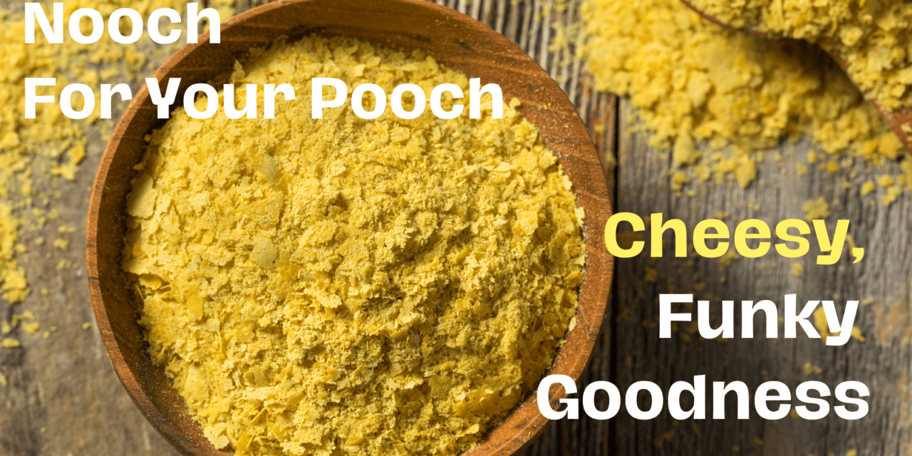 Can Your Dog Eat Nutritional Yeast?