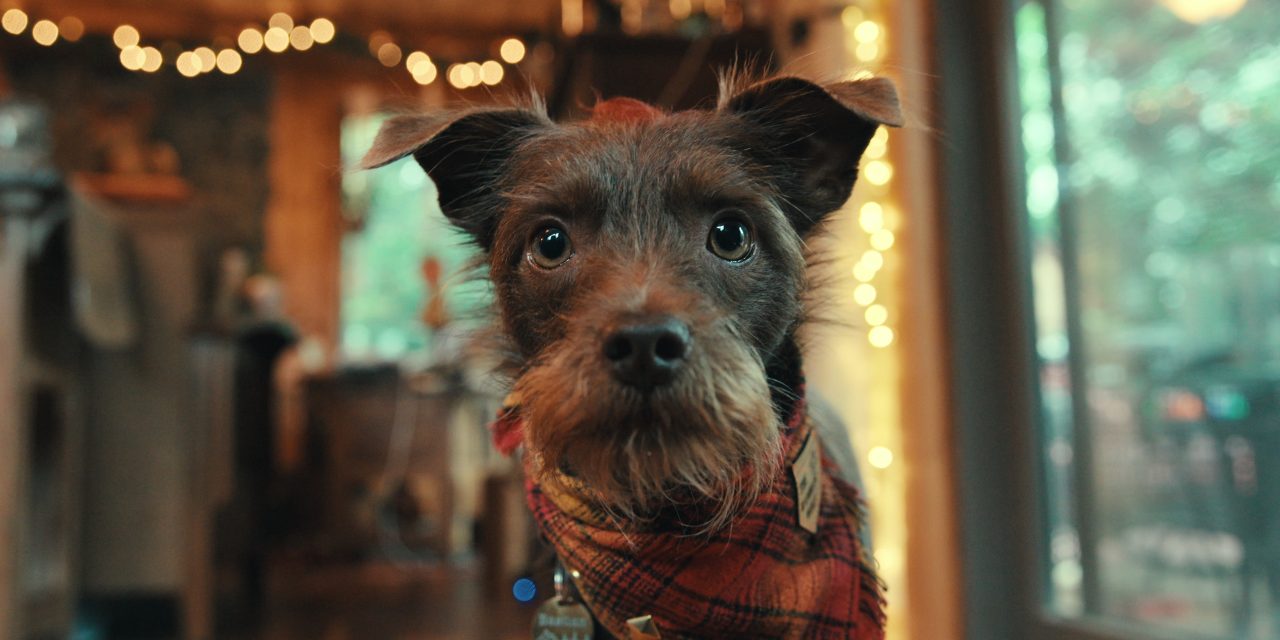 Netflix’s Inside the Mind of Dog