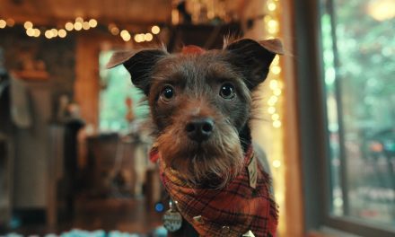 Netflix’s Inside the Mind of Dog