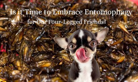 A Bug’s Life: The Future of Canine Cuisine