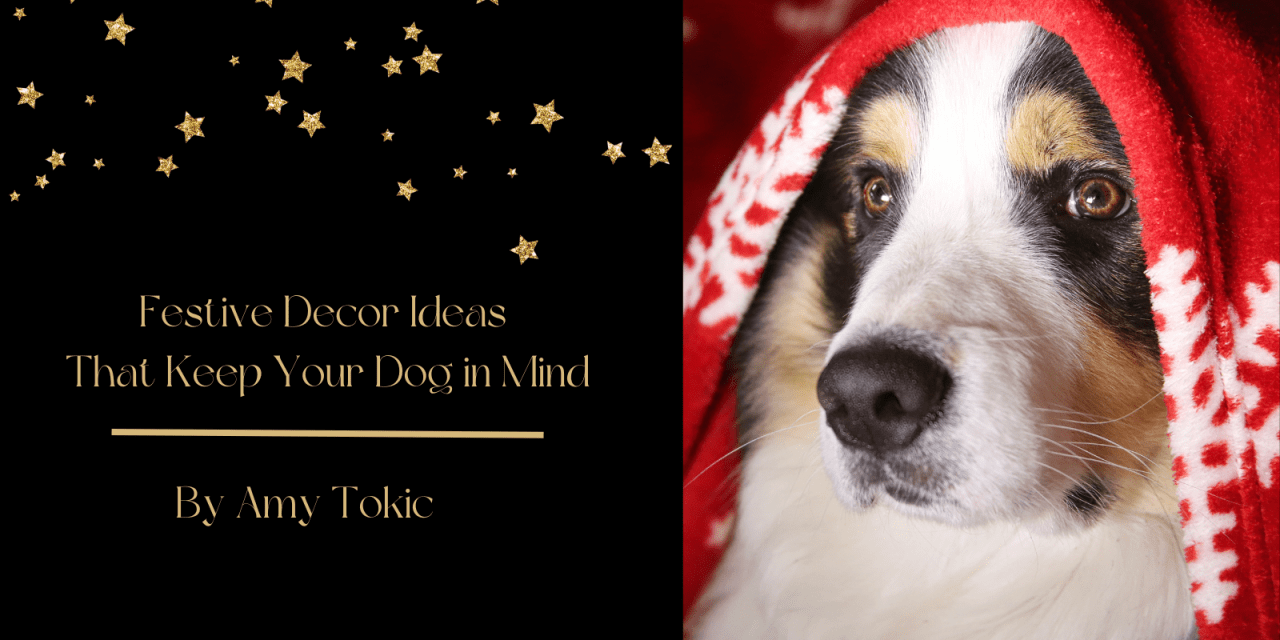 Dog-friendly Ways to Decorate for the Holidays