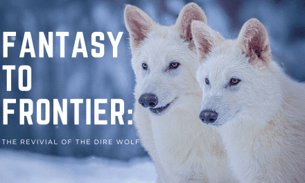Fantasy to Frontier: The Revival of the Dire Wolf