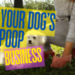Four Reasons: The Poop On Scooping.