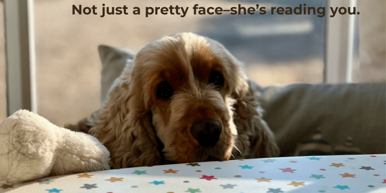 Who’s a Clever Girl? She Is.