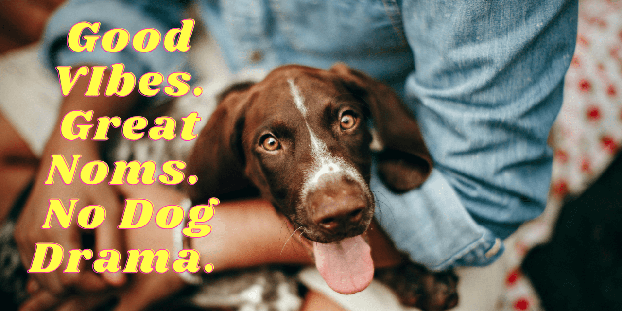 How to Dog-Proof Your Summer Barbecue