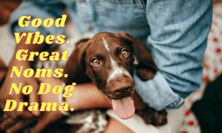 How to Dog-Proof Your Summer Barbecue