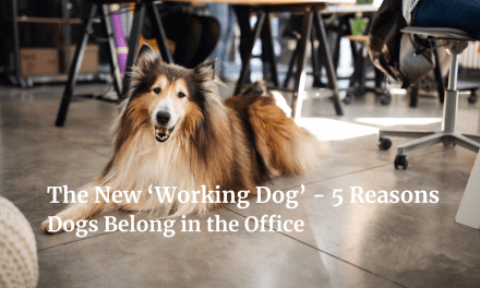 The New ‘Working Dog’ – 5 Reasons Dogs Belong  in the Office