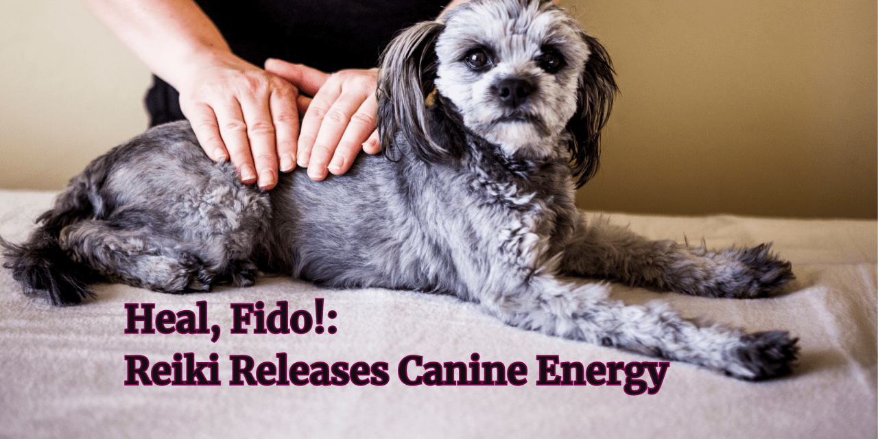 Heal, Fido!: Reiki Releases Canine Energy