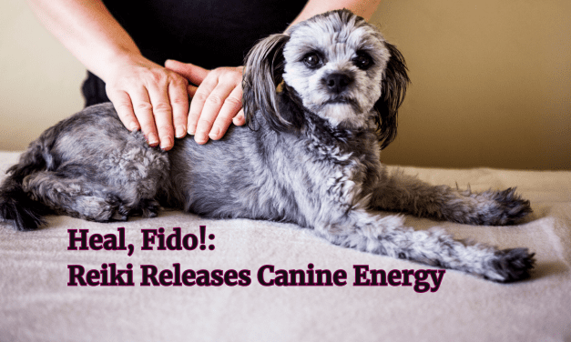Heal, Fido!: Reiki Releases Canine Energy