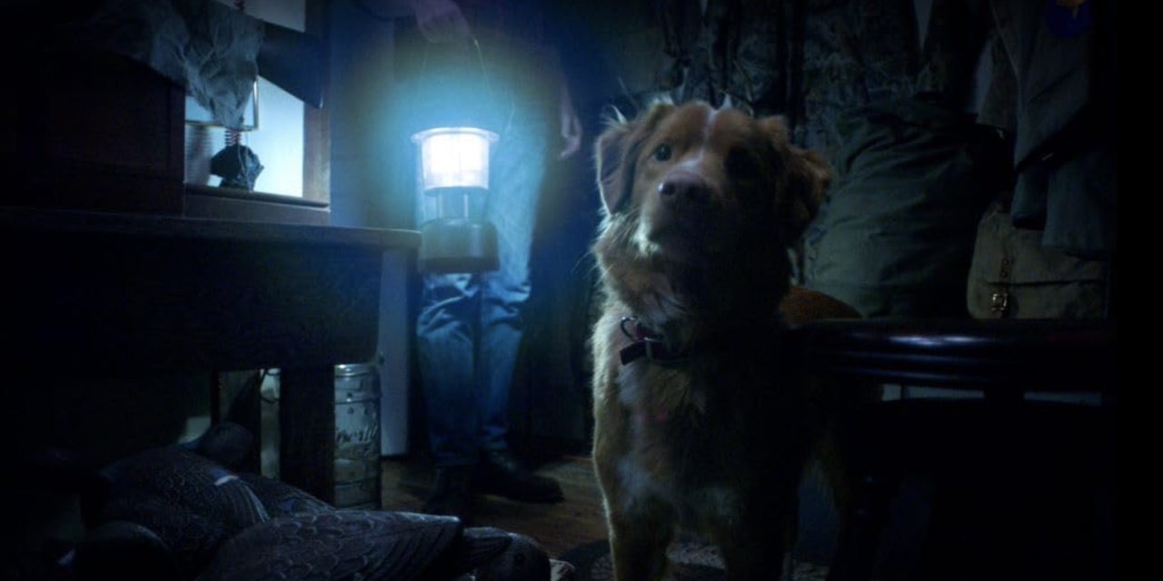 Good Boy: Good Horror. When Your Dog Barks at ‘Nothing,’ Believe It!