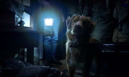 Good Boy: Good Horror. When Your Dog Barks at ‘Nothing,’ Believe It!