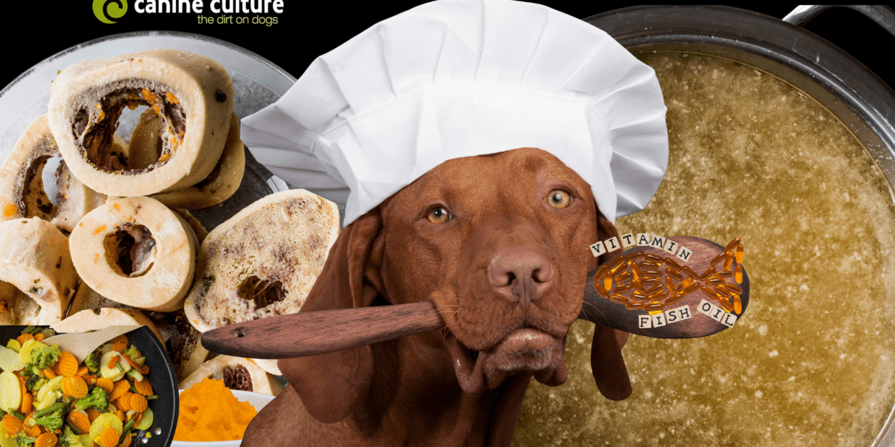6 Ways to Improve Your Dog’s Kibble