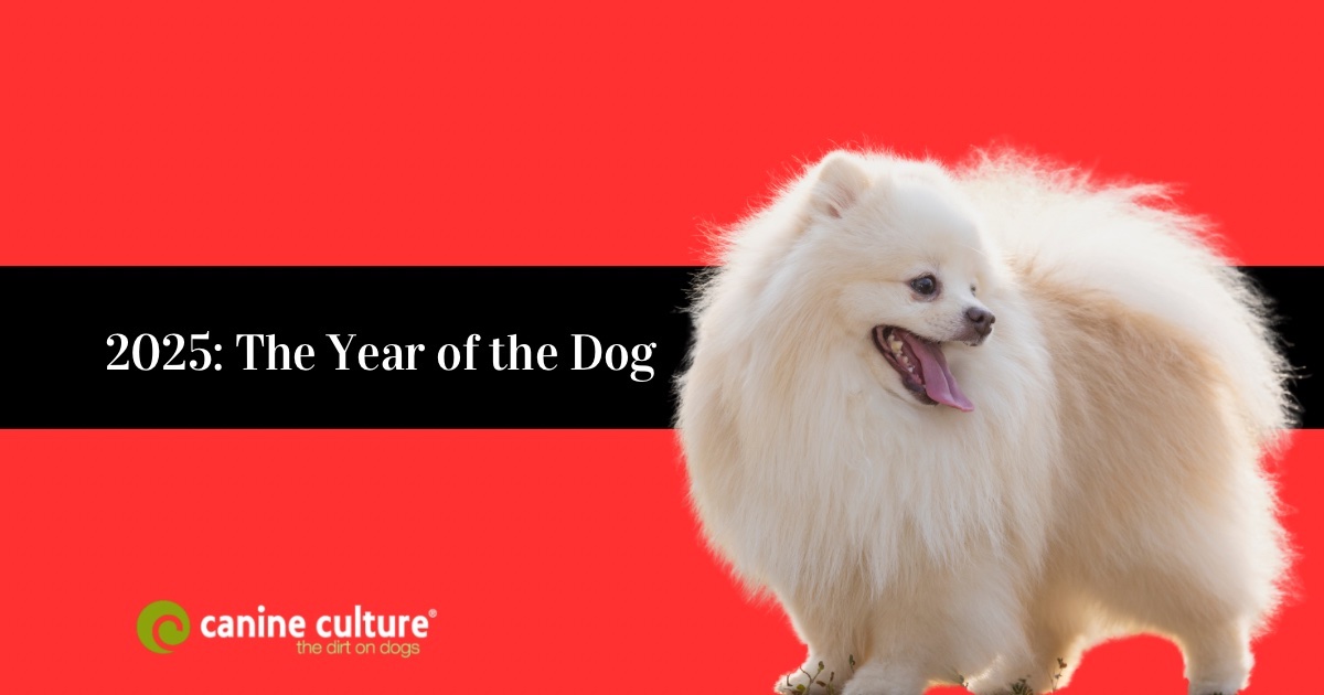 2025: From Dire Wolves to Canine Rights