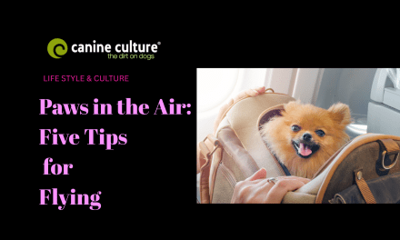 Paws in the Air: Five Tips for Flying
