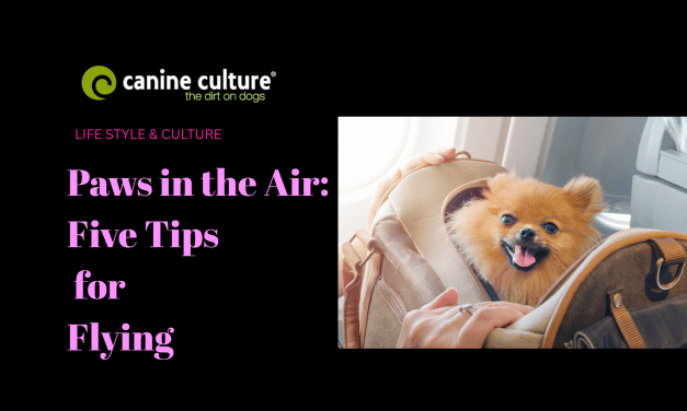 Paws in the Air: Five Tips for Flying