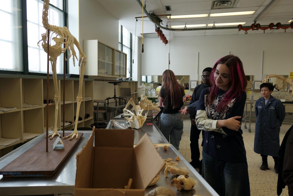 Veterinary Student in a lab at OVC 