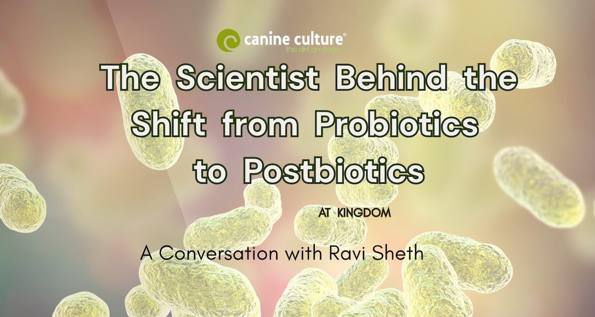 Beyond Probiotics: Rethinking Pet Health from the Microbiome Up