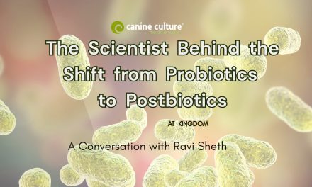 Beyond Probiotics: Rethinking Pet Health from the Microbiome Up